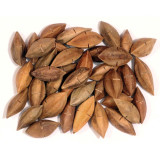 Pili Nut Parrot Treat - Human Grade Quality