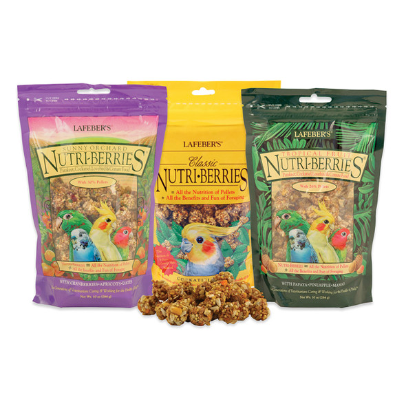 3 Pack Lafeber's Nutri-Berries for Budgie Cockatiels Lovebird