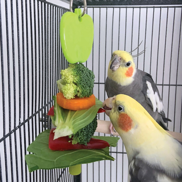 Kabob Parrot Treat Holder