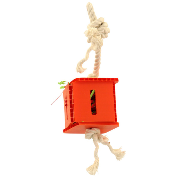 Foraging Cube Parrot Toy - Small