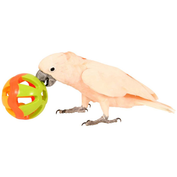 Jingle Ball Parrot Play Toy - Large