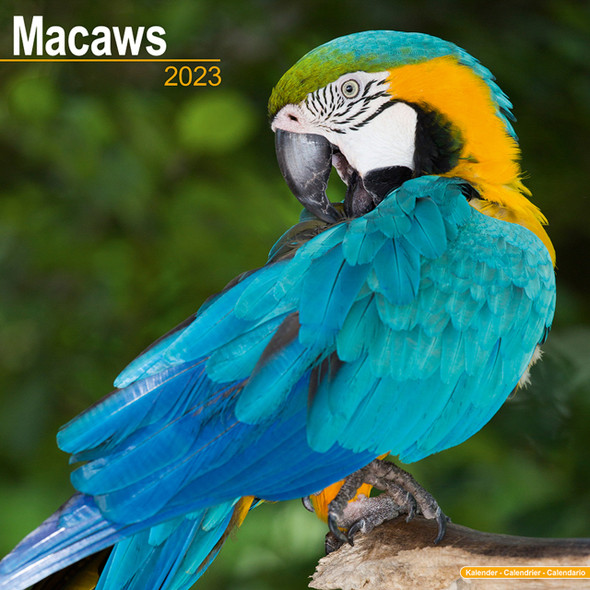 2022 Macaw Calendar