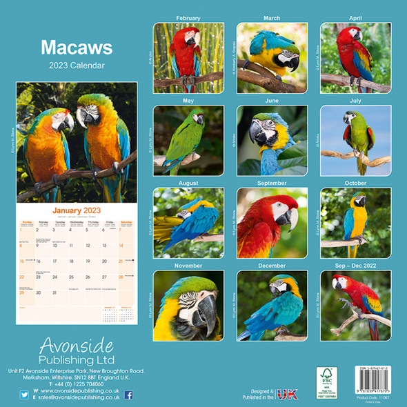 2022 Macaw Calendar