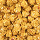 Lafeber NutriBerries El Paso Complete Parrot Food