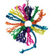 Rainbow Ring Small Parrot Preening Toy