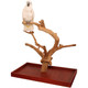 Java Tabletop Tree - Large - Natural Hardwood Parrot Stand