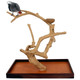 Java Tabletop Tree - Large - Natural Hardwood Parrot Stand
