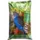Bird Sand with Oyster Shell