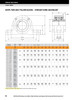 3" Timken QVPL Two Bolt Pillow Block - Single V-Lock® - Double Lip Viton Seals - Float  QVPL16V300SEC