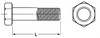 1/2"-13 UNC Hexagon Head Cap Screw - 316 Stainless  401290 - 401353