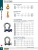 Screw Pin Anchor Shackle 3/4"  66006
