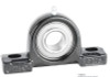 Standard Duty Taper Bore Pillow Block Assembly   UKP217