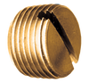 1/8" Brass Male NPT Slotted Plug  117-A