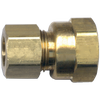 1/4 x 1/4" Brass Poly Tube Compression w/Fixed Insert - Female NPT Connector  466-4B