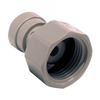 3/8 x 1/2" JG® Grey Acetal Push-To-Connect - Female BSPP Connector  CI321214S