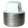 1/4" Sch. 40 Galvanized Iron Male NPT Plug  GI-109-B
