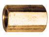 3/4" Lead Free Brass Female NPT Coupler  LF-103-E