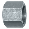 1/4" Steel Female 37° JIC Sealing Hex Cap  S3756-4