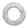 5/16" Galvanized Lock Washer 100 Pc.   856-516