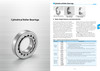 ISO Cylindrical Roller Bearing Assembly - Machined Brass Cage  N244