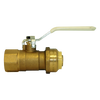 3/4" Brass Female NPT - CTS Push-To-Connect Bite-Force Ball Valve  LF-BVBF2126-14