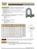 1/2" Golden Pin® Screw Pin Chain Shackle   3912 0032