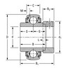 1-1/4" Spherical Ball Bearing Insert w/Eccentric Locking Collar   GN104KLLB