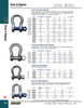 Stainless Steel Shackle 1/4"  64061