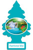 12 Pack - Regular Strength Rainforest Mist Air Freshener   U1P-10106