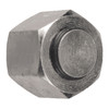 1" Steel BSPP Hex Cap   26000-16