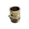 3" Brass Type F Male Camlock - Male NPT  G65BRF-300