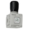 1/4" NPT Air Regulator  R651-04