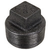 5" Sch. 40 Black Iron Male NPT Plug   G1600M-500