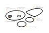 G20® Fuel Transfer Pump Seal Kit   162502-01