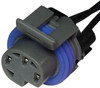 GM Three Pin Oil Pressure Switch Pigtail  5609-BP