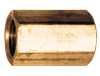 1/2" Brass Female NPT Coupler  103-D
