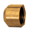 1" Cast Brass Female NPT Cap  108-H