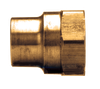 5/8" Tube O.D. x 1/4" Brass Sweat-On - Female NPT Connector  46SW-10B