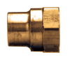 5/8" Tube O.D. x 3/4" Brass Sweat-On - Female NPT Connector  46SW-10E