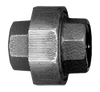 2" Sch. 40 Black Iron Female NPT Swivel Union  BI-104-M