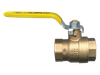 2" Forged Brass 150 PSI Female NPT Steam Approved Ball Valve  BV2103-M