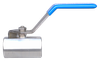 2" Stainless Steel 2000 PSI Female NPT Ball Valve - 1Pc. Construction  BVSS2103-M