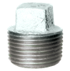 2" Sch. 40 Galvanized Iron Male NPT Plug  GI-109-M