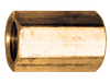 3/4" Lead Free Brass Female NPT Coupler  LF-103-E