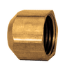 1/4" Lead Free Brass Female NPT Cap  LF-108-B