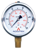 0-100 PSI  - 2-1/2" Liquid Filled - Stainless Case - Brass Stem Mount - Pressure Gauge  PG-100SG25