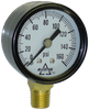 0-160 PSI  - 2-1/2" Dry - Steel Case - Brass Stem Mount - Pressure Gauge  PG-160SD25
