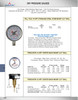 0-160 PSI  - 2-1/2" Dry - Stainless Case - Stainless Stem Mount - "Tell Tale" Pressure Gauge  PG-160SD25SS-MINP