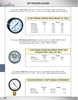 0-30 PSI  - 2" Dry - Steel Case - Brass Center Back Mount - Pressure Gauge  PG-30CD2