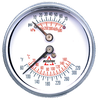 0-75 PSI  - 2-1/2" Dry - Steel Case - Brass Center Back Mount - Temperature & PSI Tridicator  PG-75/320TR25